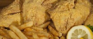 Tilapia